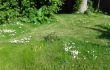 Garten 1.jpg