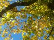 2013-10-14 14.27.23.jpg